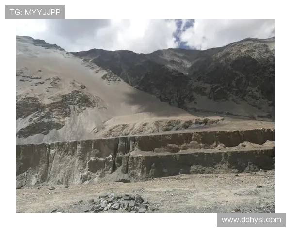 深度对话：探索王敏在和平精英中的成长与挑战之路